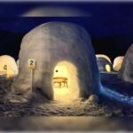 Tokyo: Nagano Private Tour with Igloo Village & snow Monkeys - Exploring the Highlights in Detail