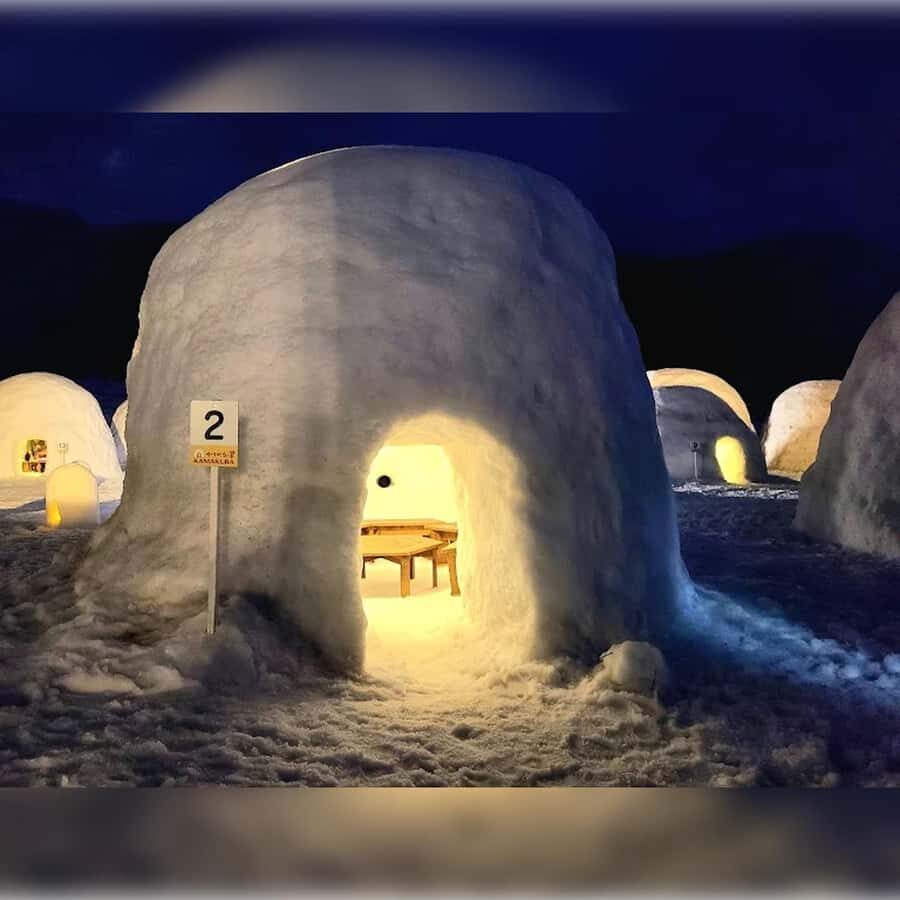 Tokyo: Nagano Private Tour with Igloo Village & snow Monkeys - Exploring the Highlights in Detail