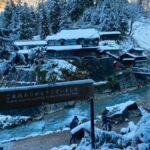 Tokyo/Nagano: private Tour with Snow Monkey Park & Temples - Zenko-ji Temple: A Spiritual and Architectural Wonder