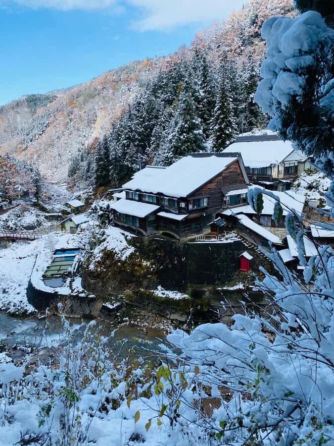 Tokyo/Nagano: private Tour with Snow Monkey Park & Temples - Why This Tour is Worth It