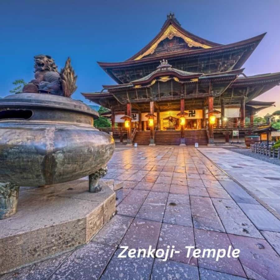 Tokyo/Nagano: Snow Monkeys Private Tour Full Customizable - Itinerary Breakdown: What You Can Expect