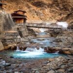 Tokyo: Nagano Togakushi Shrine, Sake & Zenkoji Tour - Who Will Love This Tour?