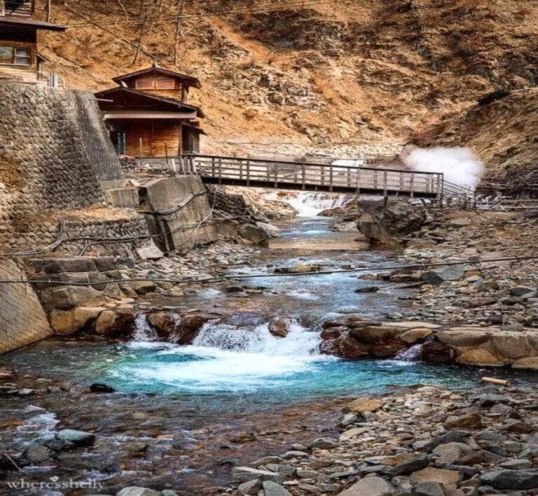 Tokyo: Nagano Togakushi Shrine, Sake & Zenkoji Tour - Who Will Love This Tour?