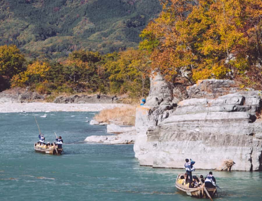 Tokyo: Nagatoro, Mitsumine Shrine & Waterfalls One-Day Tour - Practical Details and Value