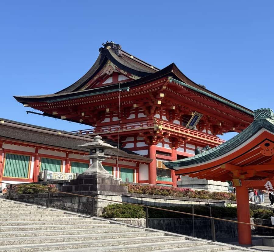 Tokyo: Nara Private Day Tour with English-Speaking Guide - The Itinerary: What to Expect