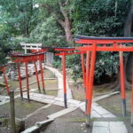 Tokyo: Nezu Shrine Guided Tour with Azalea Festival - Who Should Consider This Tour?