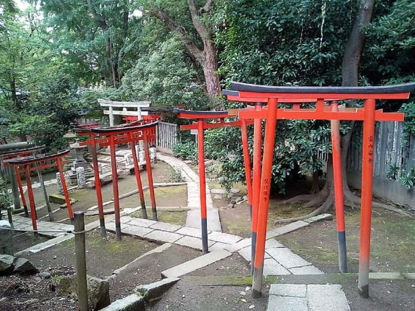 Tokyo: Nezu Shrine Guided Tour with Azalea Festival - Who Should Consider This Tour?
