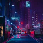 Tokyo Night Adventure with Skyline Views - Transportation & Comfort