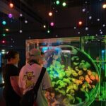 Tokyo Night E-Bike Tour with Tokyo Tower and Dolphin Show - The Value Proposition