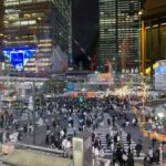 Tokyo Night Walk: Shibuya & Shinjuku Hidden Alleys - What We Loved About the Tour