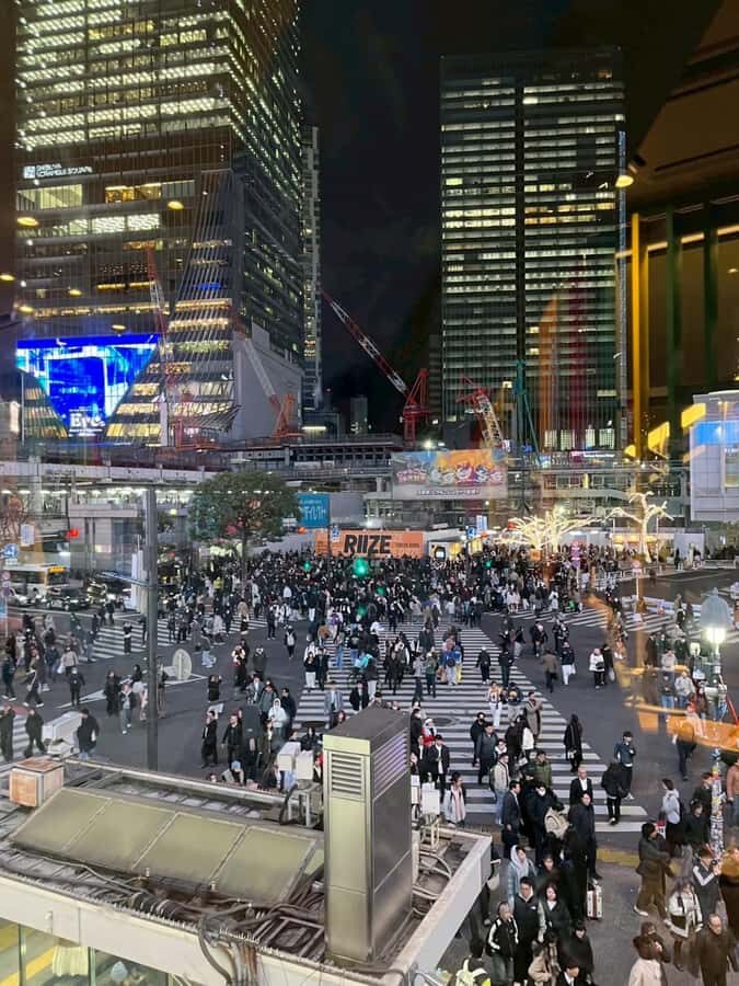 Tokyo Night Walk: Shibuya & Shinjuku Hidden Alleys - What We Loved About the Tour