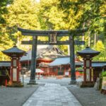 Tokyo: Nikko Cultural Private Day Tour Fully Customizable - The Itinerary Breakdown: What to Expect