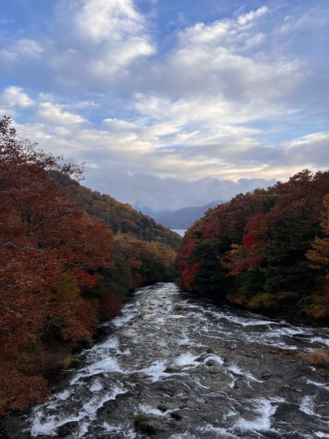 Tokyo: Nikko Day Tour with Private Vehicle and Guide - The Natural Spectacle of Kegon Falls and Lake Chuzenji