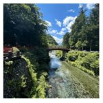 Tokyo: Nikko Kegon Falls Lake Chuzenji Toshogu Temple & More - Who Would Love This Tour?