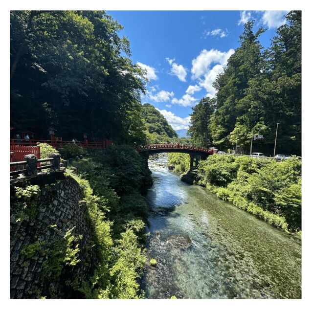 Tokyo: Nikko Kegon Falls Lake Chuzenji Toshogu Temple & More - Who Would Love This Tour?