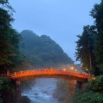 Tokyo: Nikko National Park Private Tour Hotel Pickup & Guide - Practical Details and Why They Matter