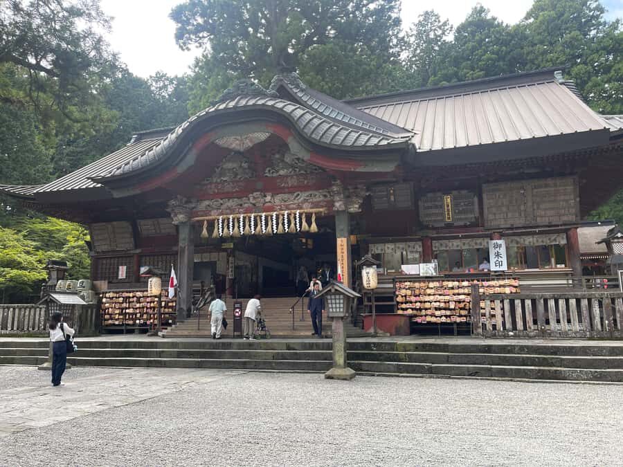 Tokyo: Nikko Private Customized Tour English Driver & Guide - Who Will Love This Tour?