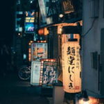 Tokyo: Nikko Private Day Tour with English Speaking Driver - Who Should Consider This Tour?