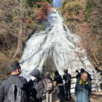 Tokyo: Nikko Private Day Tour with Pickup - What’s Included and Why It Matters