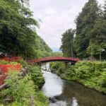 Tokyo: Nikko Private Day Tour with Pickup - A Deep Dive into the Nikko Experience