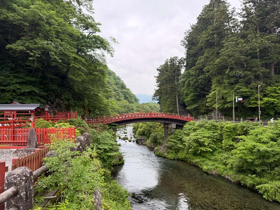 Tokyo: Nikko Private Day Tour with Pickup - A Deep Dive into the Nikko Experience