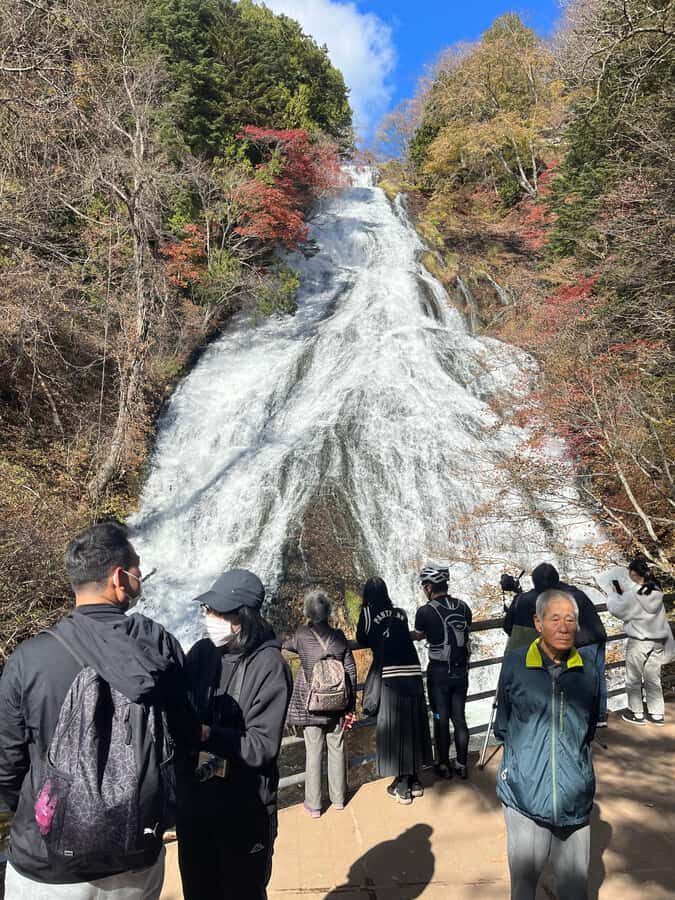 Tokyo: Nikko Private Day Tour with Pickup - What’s Included and Why It Matters