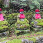 Tokyo: Nikko Private Tailored Day Tour with Premium Vellfire - Transportation and Comfort: Why It Matters