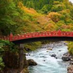 Tokyo : Nikko Private Tour with Customizable Itinerary&Guide - Who Will Love This Tour?