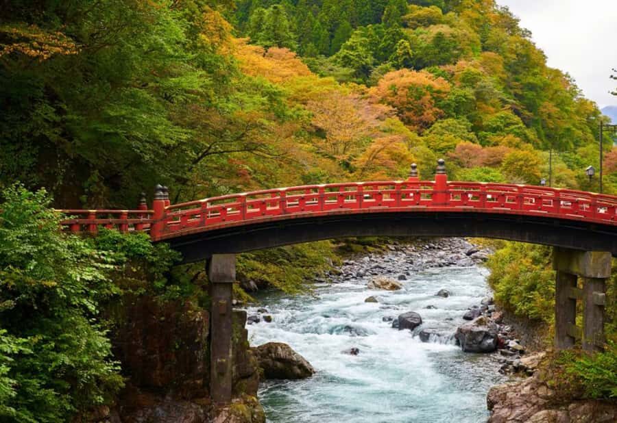 Tokyo : Nikko Private Tour with Customizable Itinerary&Guide - Why Choose This Tour?