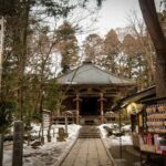 Tokyo: Nikko Private Tour with Lunch and Wine Tasting - The UNESCO Sites: Toshogu Shrine and Shinkyo Bridge