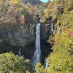 Tokyo  Nikko:Private Customizable Day Trip (English Driver) - Why Choose This Tour?