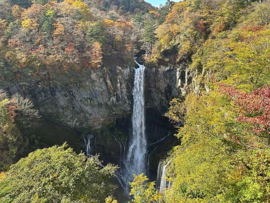Tokyo  Nikko:Private Customizable Day Trip (English Driver) - Why Choose This Tour?