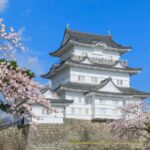 Tokyo: Odawara & Hakone Day Tour with Castle Entry - Exploring the Itinerary