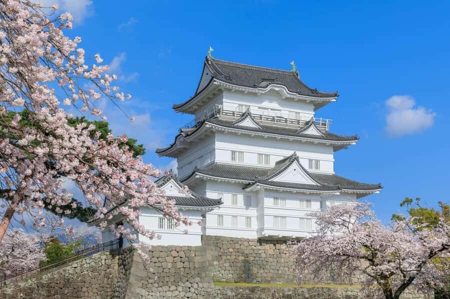 Tokyo: Odawara & Hakone Day Tour with Castle Entry - Exploring the Itinerary
