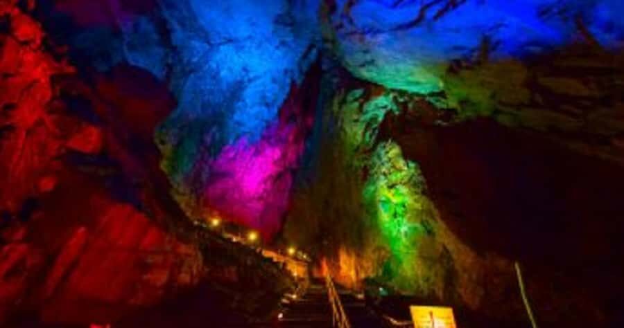 Tokyo: Okutama Day Trip with Hatonosu Gorge - What Makes This Tour Stand Out?