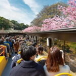 Tokyo: Open Top Sightseeing Bus with Audio Guide - The Itinerary in Detail