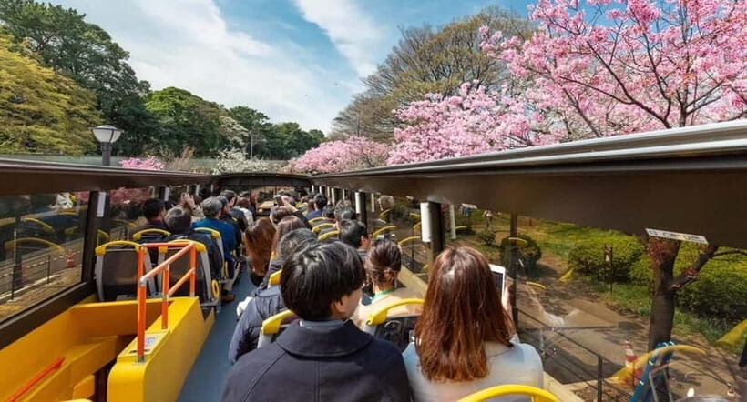 Tokyo: Open Top Sightseeing Bus with Audio Guide - The Itinerary in Detail