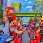 Tokyo: Original Street Kart Experience from Akihabara - The Route and Highlights