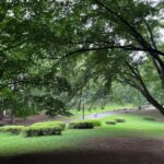 Tokyo "Perfect Days" Movie Walk Feat. Yoyogi & Sugamo 3 Hrs - Final Verdict