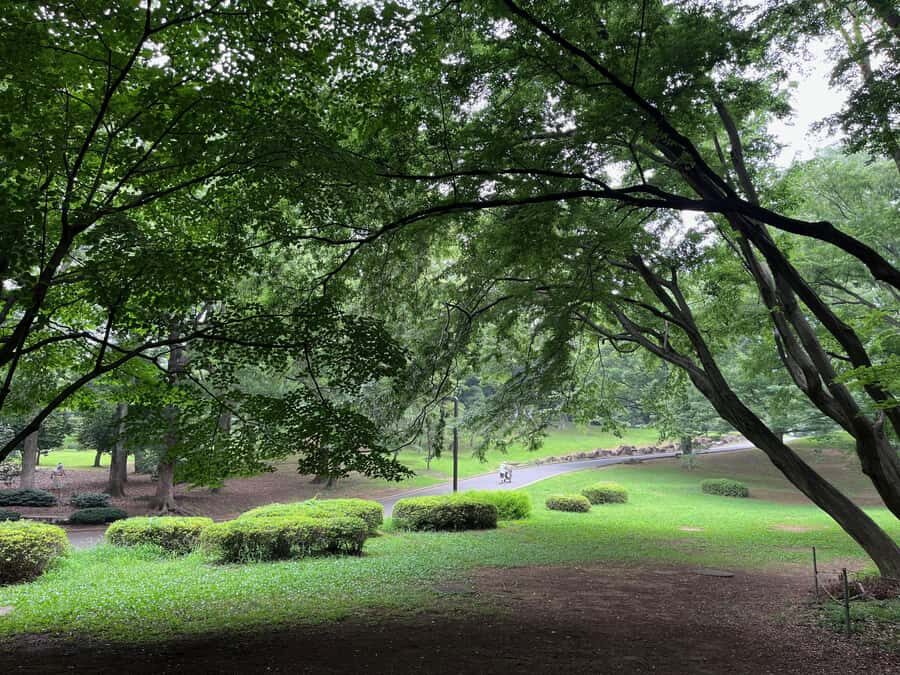 Tokyo "Perfect Days" Movie Walk Feat. Yoyogi & Sugamo 3 Hrs - Final Verdict