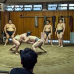 Tokyo: Personalized Half-day Tour - What is the Tokyo Personalized Half-day Tour?