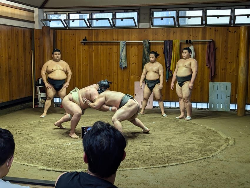 Tokyo: Personalized Half-day Tour - What is the Tokyo Personalized Half-day Tour?