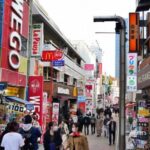 Tokyo Pop Culture & Tradition Tour: Meiji Shrine to Harajuku - Who Will Love This Tour?