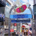 Tokyo Pop Culture & Tradition Tour: Meiji Shrine to Harajuku - Detailed Breakdown of the Experience