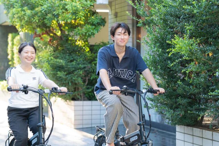 Tokyo: Private 3-hour E-Bike Tour with a Custom Route - The Itinerary: A Well-Planned Route Through Tokyos Key Spots