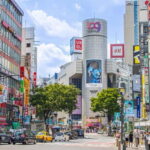 Tokyo : Private 3 hours Private Tour with a Local Guide - What Does the 3-Hour Itinerary Look Like?