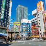 Tokyo: Private Akihabara Anime and Maid Cafe Tour - Who Should Consider This Tour?