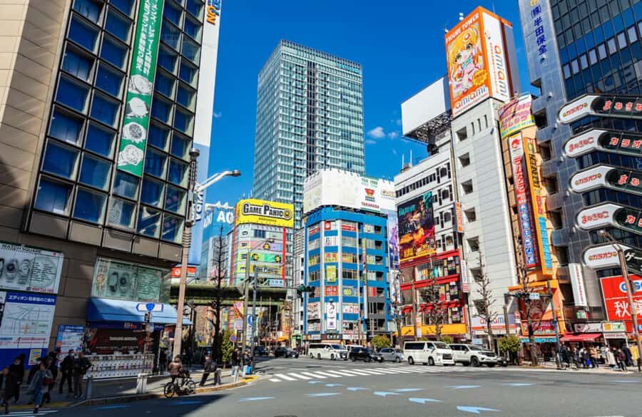 Tokyo: Private Akihabara Anime and Maid Cafe Tour - Who Should Consider This Tour?