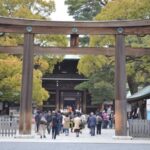 Tokyo: Private Car Tour with Custom Itinerary & Pickup - The Experience in Detail: What to Expect from Your Private Tokyo Tour