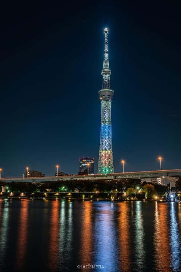 Tokyo Private City Tour Customizable with English Guide - The Sum Up: Who Should Book This Tour?